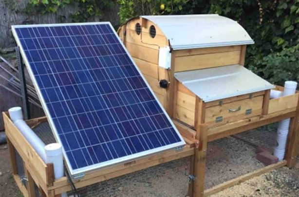 Solar Water Heater for Chicken